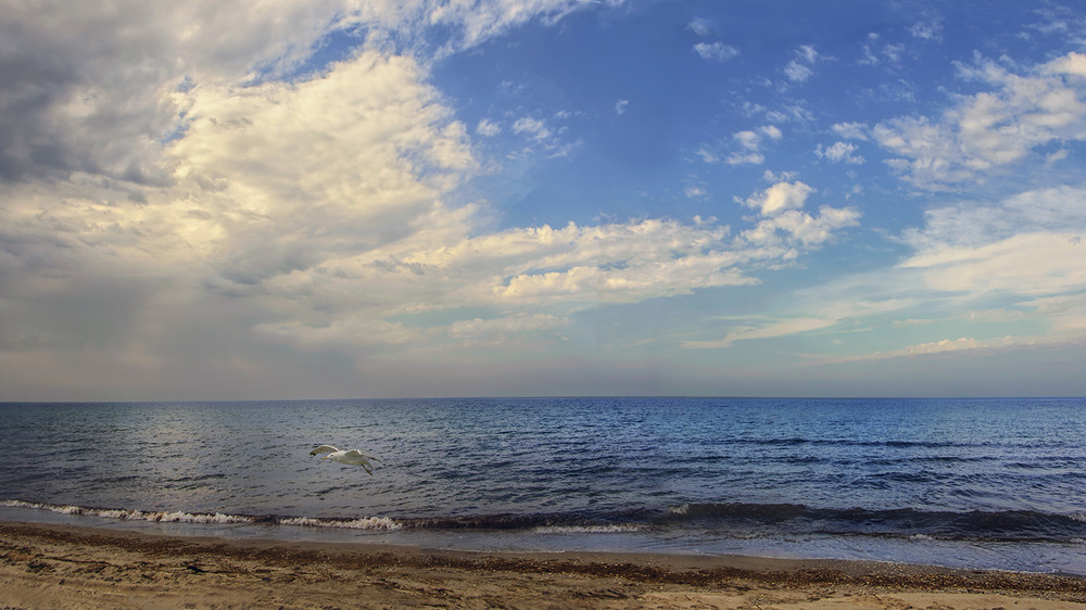 Membangun Pagi yang Damai untuk Pikiran yang Lebih Jernih dan Bahagia